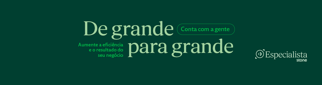 capa-linkedin-especialista-stone33333 capa-linkedin-especialista-stone33333